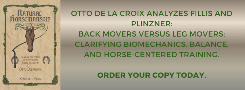 Master the Art of Horsemanship